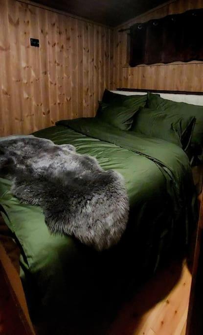 Cabin Aurora Borealis Sommaroy Ngoại thất bức ảnh